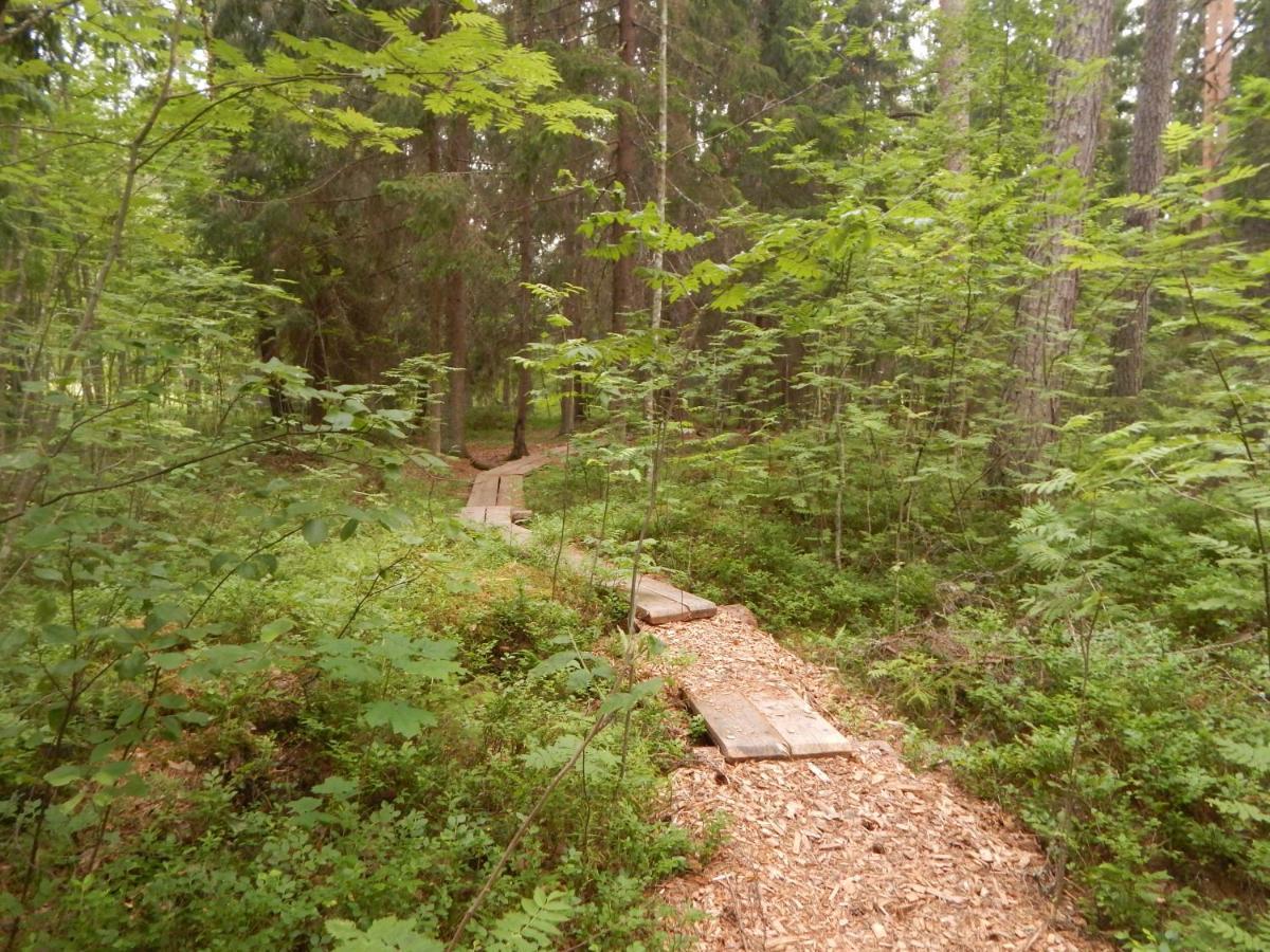 Haaviku Nature Cottage Tepelvalja Εξωτερικό φωτογραφία